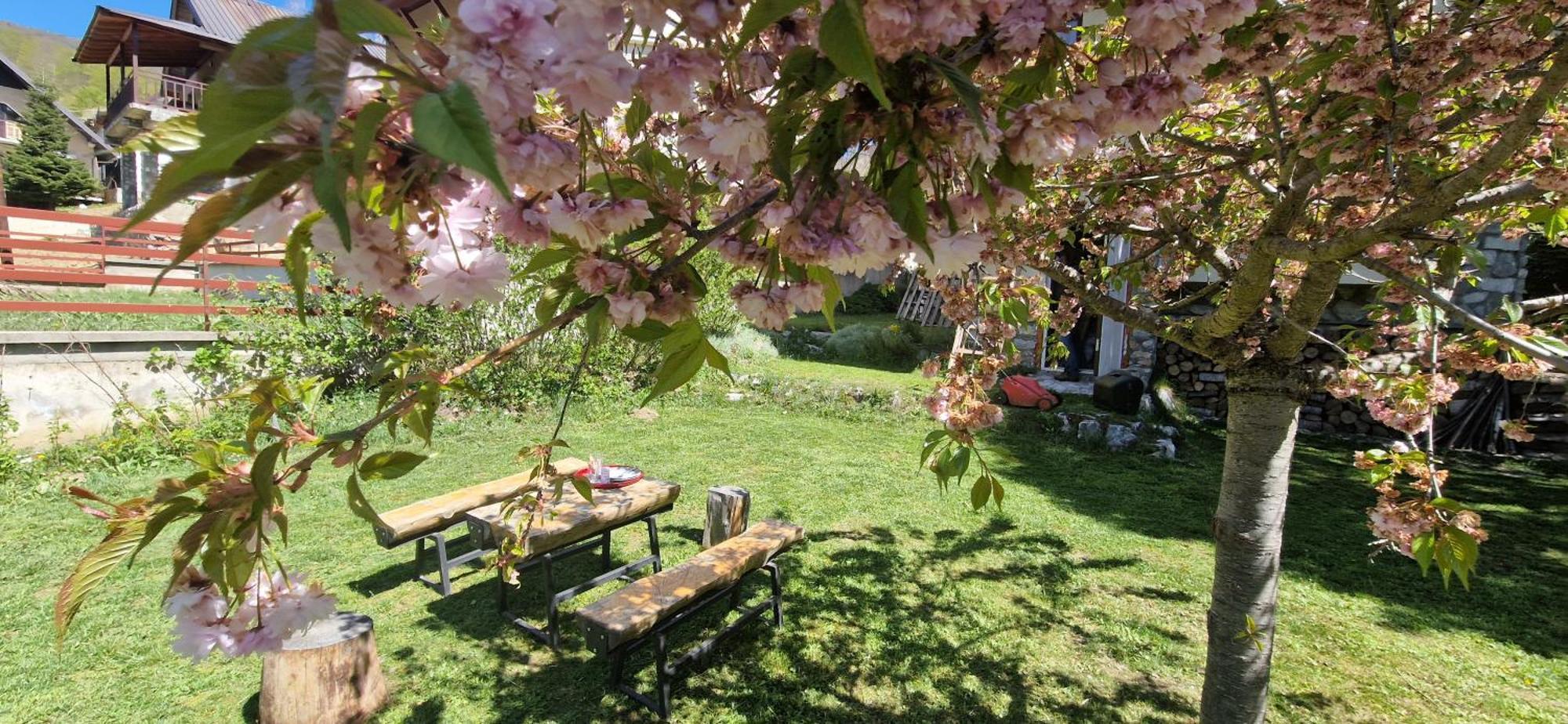 Chalet Mila Mavrovo Eksteriør bilde