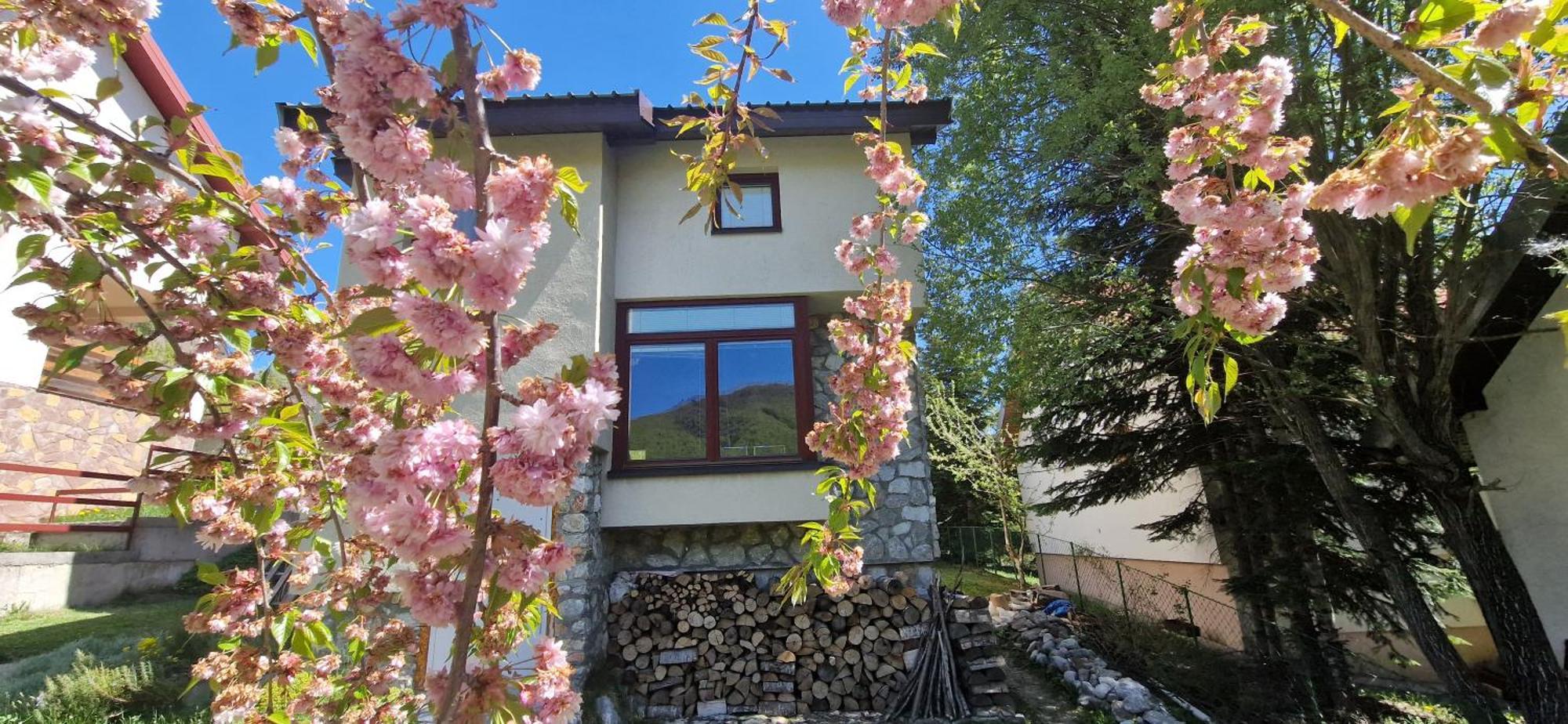Chalet Mila Mavrovo Eksteriør bilde